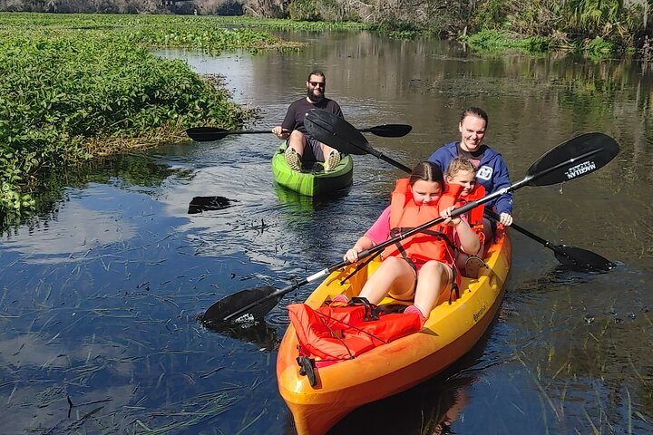 Experience the beauty of Florida’s natural wonders on the Wekiva River kayaking alongside diverse wildlife while surrounded by lush greenery and tranquil waters. Perfect for families and smaller groups.